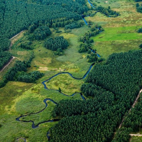 Zdjęcie: Emilcin 1978: porwanie przez kosmitów czy zbiorowa psychoza?