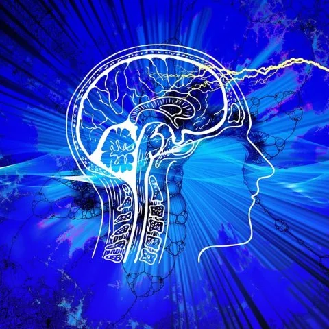 Zdjęcie: Dlaczego mózg wierzy w spiski: psychologia i neurobiologia