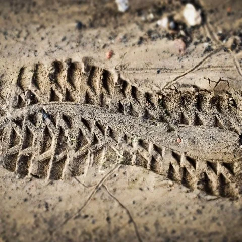 Zdjęcie: Yeti w Himalajach: co wykazały badania genetyczne z Oksfordu